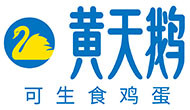 黄天鹅
